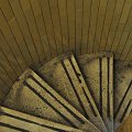 rom11_1244